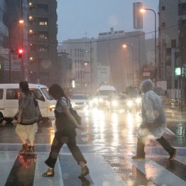 ここ数年豪雨が頻繁／（Ｃ）日刊ゲンダイ