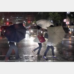 傘が役に立たない／（Ｃ）日刊ゲンダイ