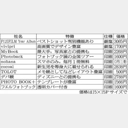 フォトブックを手掛ける主要１０社／（Ｃ）日刊ゲンダイ