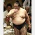 稀勢の里（Ｃ）日刊ゲンダイ