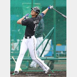 キャンプ中のフリー打撃でもポンポン柵越え（Ｃ）日刊ゲンダイ