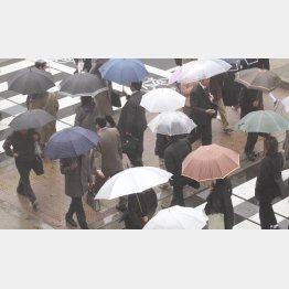 梅雨が続けば…（Ｃ）日刊ゲンダイ