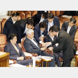 参院平和安全法制特別委でたくさんの官僚にレクチャーを受ける中谷防衛相（Ｃ）日刊ゲンダイ