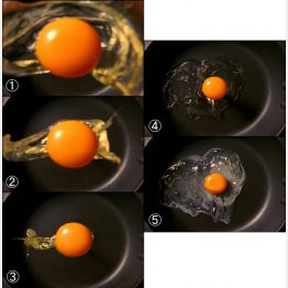 卵がフライパンに落下する様子（Ｃ）日刊ゲンダイ