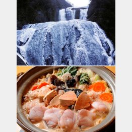 日本三大名瀑のひとつ「袋田の滝」（上）とアンコウ鍋（Ｃ）日刊ゲンダイ