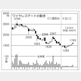 ワイヤレスゲート（Ｃ）日刊ゲンダイ