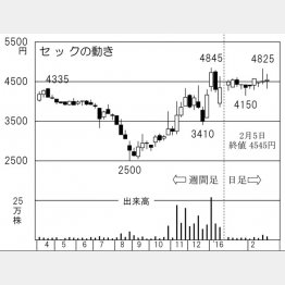 セック（Ｃ）日刊ゲンダイ