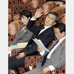 ロクな議員がいない（Ｃ）日刊ゲンダイ