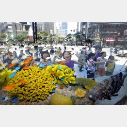 沖縄美ら海水族館（Ｃ）日刊ゲンダイ