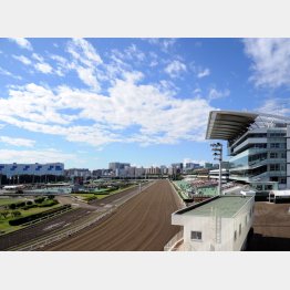 大井競馬場（Ｃ）日刊ゲンダイ