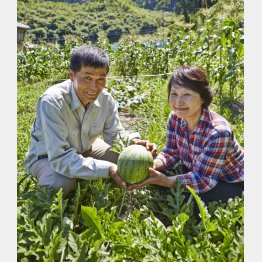 環境が自分に合っていれば満ち足りた田舎暮らし（写真はイメージ）／（Ｃ）日刊ゲンダイ