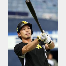 875グラムのバットに戻した松田（Ｃ）日刊ゲンダイ