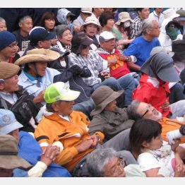 シュワブ・キャンプで座り込み抗議を続ける沖縄県民（Ｃ）日刊ゲンダイ