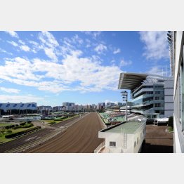 大井競馬場（Ｃ）日刊ゲンダイ