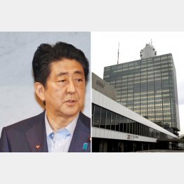 安倍政権の“御用メディア”ＮＨＫが原発政策を批判（Ｃ）日刊ゲンダイ