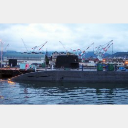 「夕呉クルーズ」で潜水艦に接近（Ｃ）日刊ゲンダイ