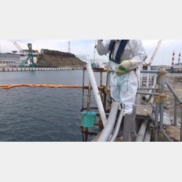 15年6月福島第一原発周辺地下水・海水のモニタリング状況　～サンプリング風景～（Ｃ）東京電力提供