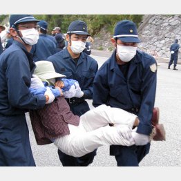 機動隊に排除される辺野古移設反対住民（Ｃ）日刊ゲンダイ