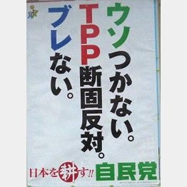 このポスターからしてウソだった（１２年総選挙時の自民党ポスター）／（Ｃ）日刊ゲンダイ