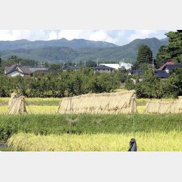 昔ながらの日本の田園風景も壊される（Ｃ）日刊ゲンダイ