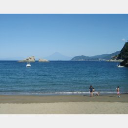 絶景！雲見浜から富士山を望む（Ｃ）日刊ゲンダイ