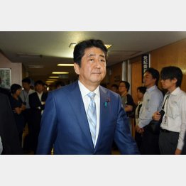 安倍首相をアイドル扱い（Ｃ）日刊ゲンダイ