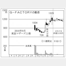 Ｇ―ＦＡＣＴＯＲＹ（Ｃ）日刊ゲンダイ