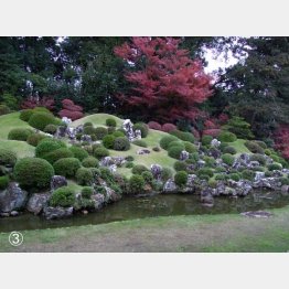 龍潭寺庭園（Ｃ）日刊ゲンダイ