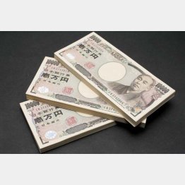 最大100万円の補助金がもらえる（Ｃ）日刊ゲンダイ