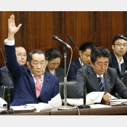 挙手をする金田法相（左）と安倍首相（Ｃ）日刊ゲンダイ