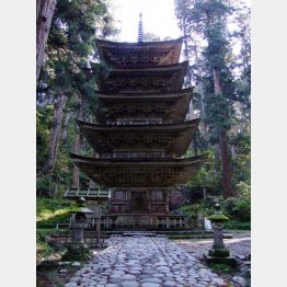 出羽三山神社の五重塔（国宝）／（提供写真）