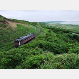 抜海駅～南稚内駅間（提供写真）