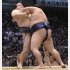 何も出来ずに寄り切られる稀勢の里（左）／（Ｃ）共同通信社