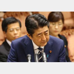 参院閉会中審査での安倍首相（Ｃ）日刊ゲンダイ