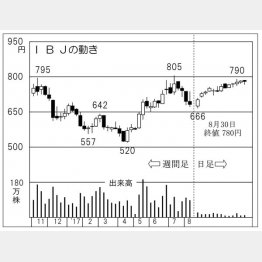 ＩＢＪ（Ｃ）日刊ゲンダイ