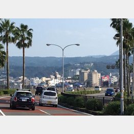 アジア系に人気の伊豆半島（提供写真）