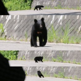 レジャーで入山するときは注意が必要だ（提供写真）