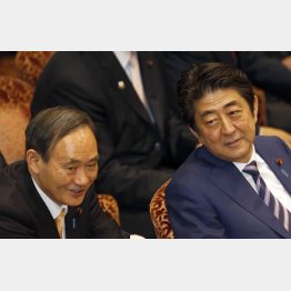 菅官房長官と安倍首相（Ｃ）日刊ゲンダイ