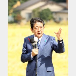 田んぼのなかで“ひとり演説”／（Ｃ）日刊ゲンダイ