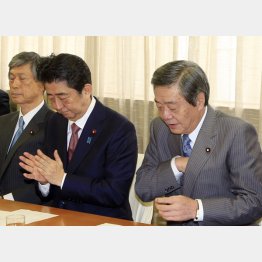 おごりと特権意識（安倍首相と竹下総務会長）／（Ｃ）日刊ゲンダイ