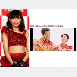 元欅坂４６の渡辺美優紀（左）は「アリババ」に出店、ピコ太郎は中国大手自動車販売会社ＣＭに出演（ＨＰから）／（Ｃ）日刊ゲンダイ