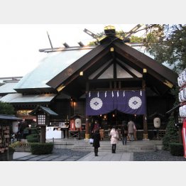 神社巡りみたいなユルい趣味がいいのだ（Ｃ）日刊ゲンダイ