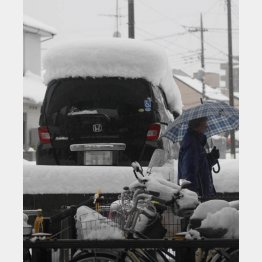 大雪が降れば何か作りたくなる…（写真はイメージ）（Ｃ）日刊ゲンダイ
