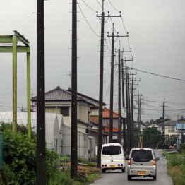 日本は“電柱王国”だ／（Ｃ）日刊ゲンダイ