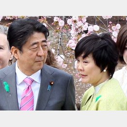 昭恵氏と安倍首相は同罪（Ｃ）日刊ゲンダイ