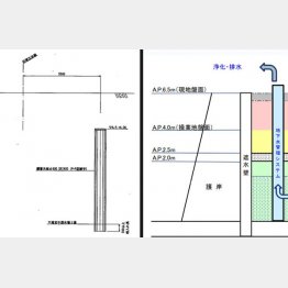 本紙入手の図面（左）では遮水壁が地表に達していないが、都公表の資料（右）では達している／（Ｃ）日刊ゲンダイ