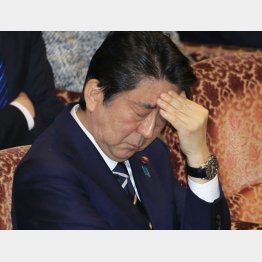 土俵際だ(C)日刊ゲンダイ