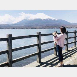 富士山が近い（Ｃ）日刊ゲンダイ