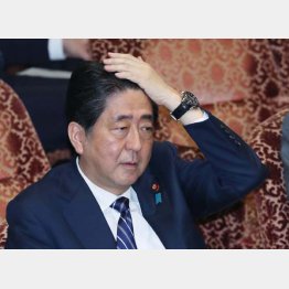 「外交の安倍」の面目を保てるか／（Ｃ）日刊ゲンダイ