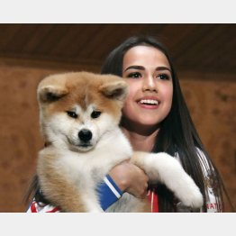 ザギトワ選手に抱かれた秋田犬のマサル（Ｃ）共同通信社